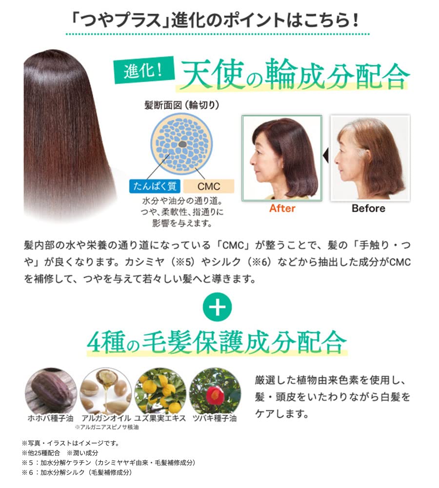 Amazon | Sastty (サスティ) 利尻ヘアカラートリートメント つやプラス