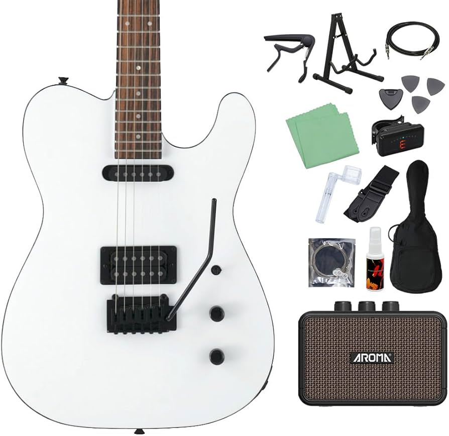 Amazon | FERNANDES TEJ-STD SH SW エレキギター初心者14点セット