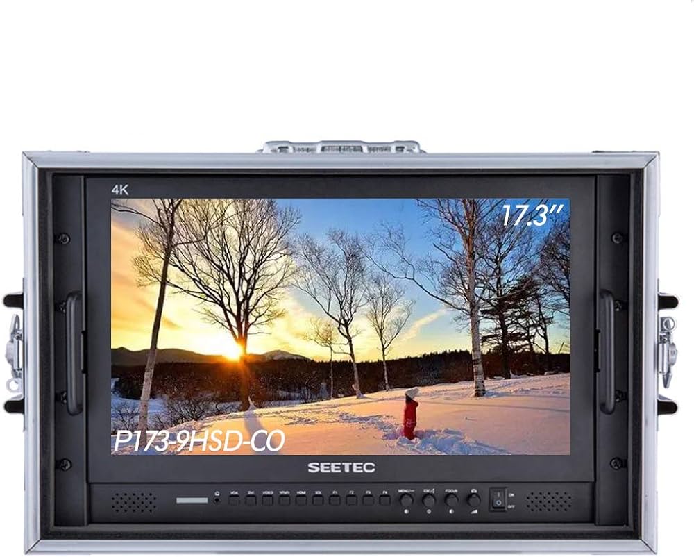 Amazon.co.jp: SEETEC P173-9HSD-CO 17.3インチ1920x1080デスクトップ
