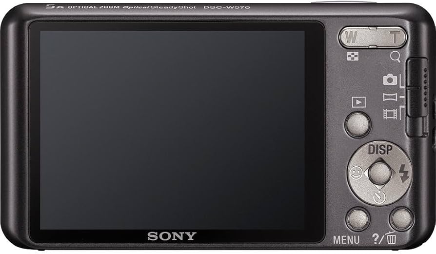 Amazon.com : Sony Cyber-Shot DSC-W570 16.1 MP Digital Still Camera