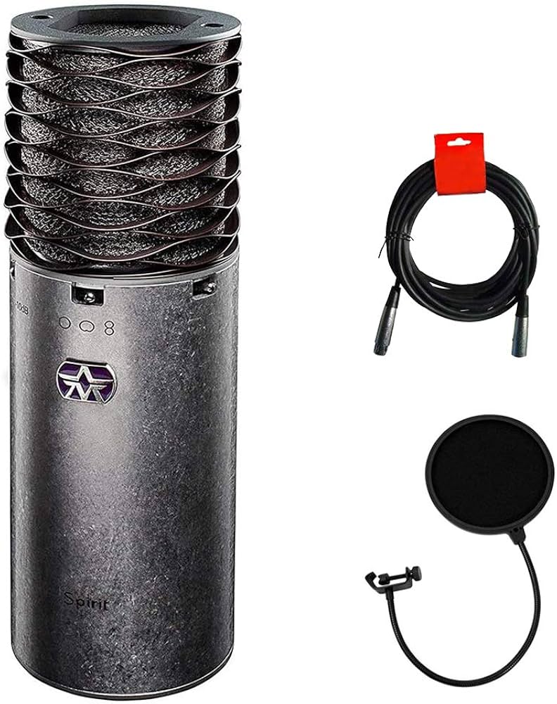 Amazon.com: Aston Microphones Spirit Multi-Pattern Condenser