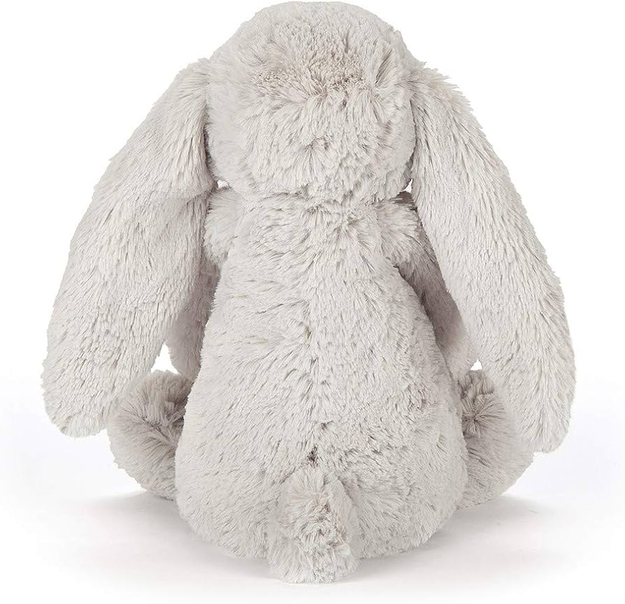 61NHAFyLmQL._AC_UF894,