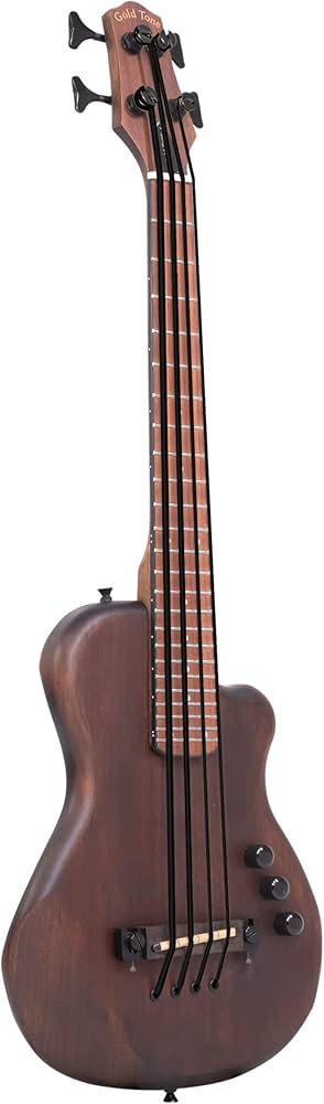 Amazon.com: Gold Tone ME-BassFL Solid Body Microbass Fretless