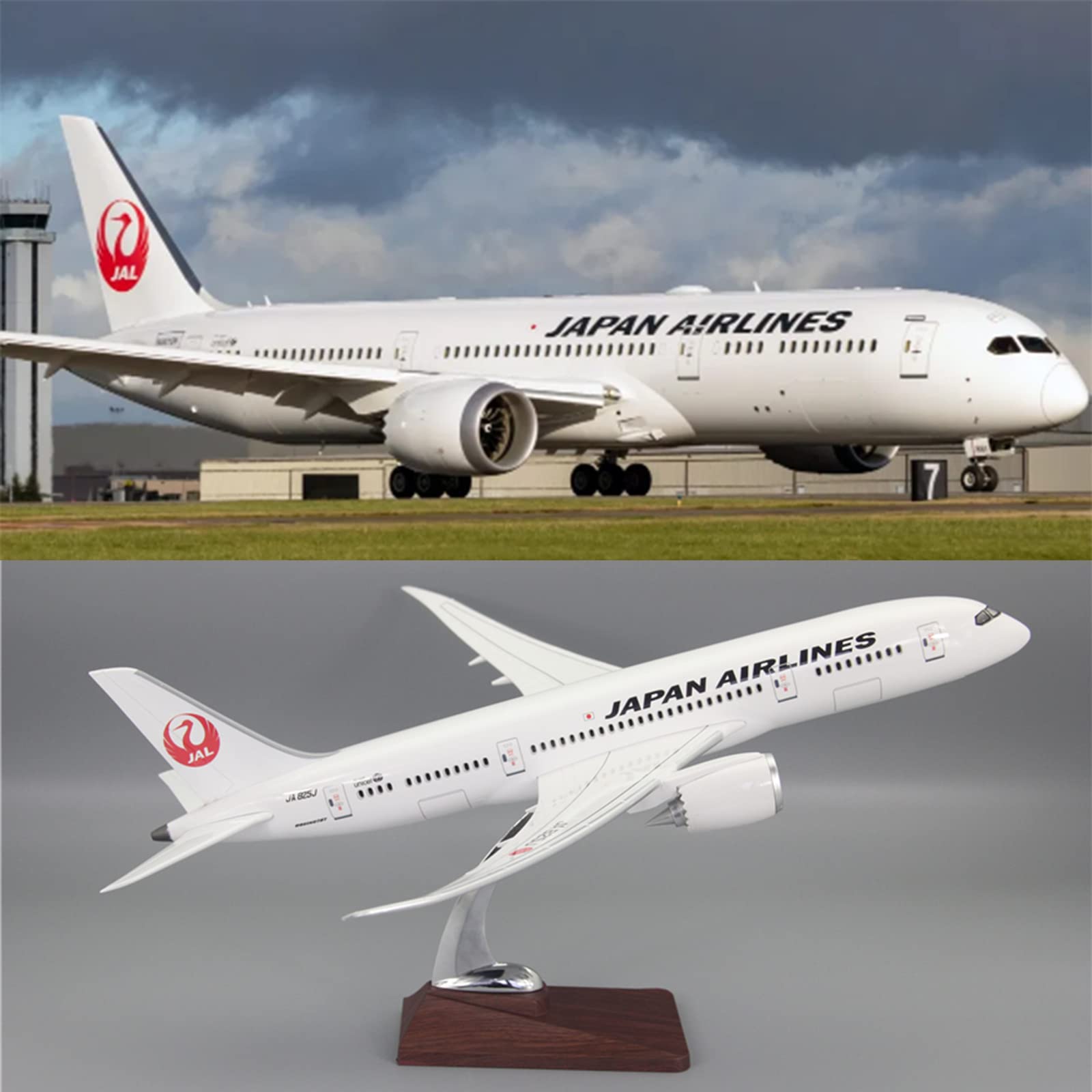 Amazon.co.jp: 1:130 スタンダードエディションメタルボーイングB787