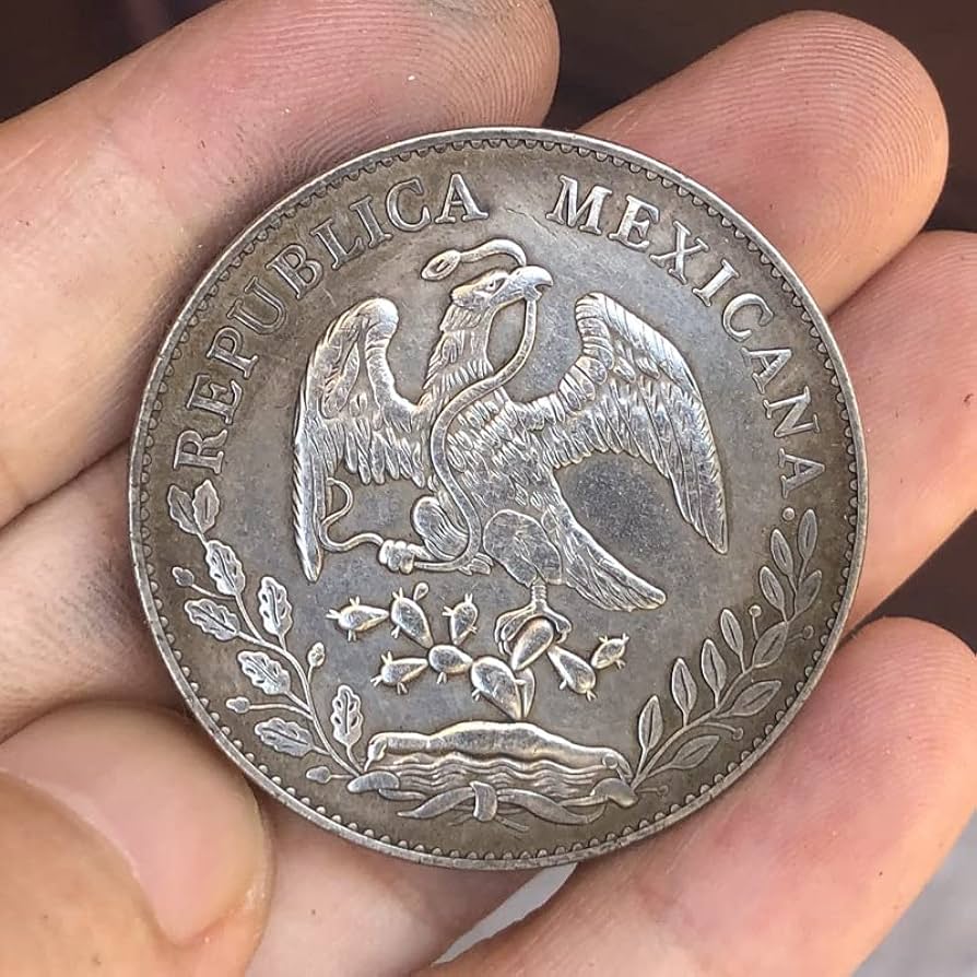 Amazon.co.jp: アンティーク コイン アンティーク シルバー ドル