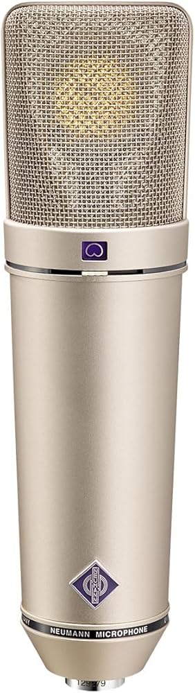 Amazon.co.jp: Neumann ノイマン U 87 AI ラージダイアフラム スタジオ