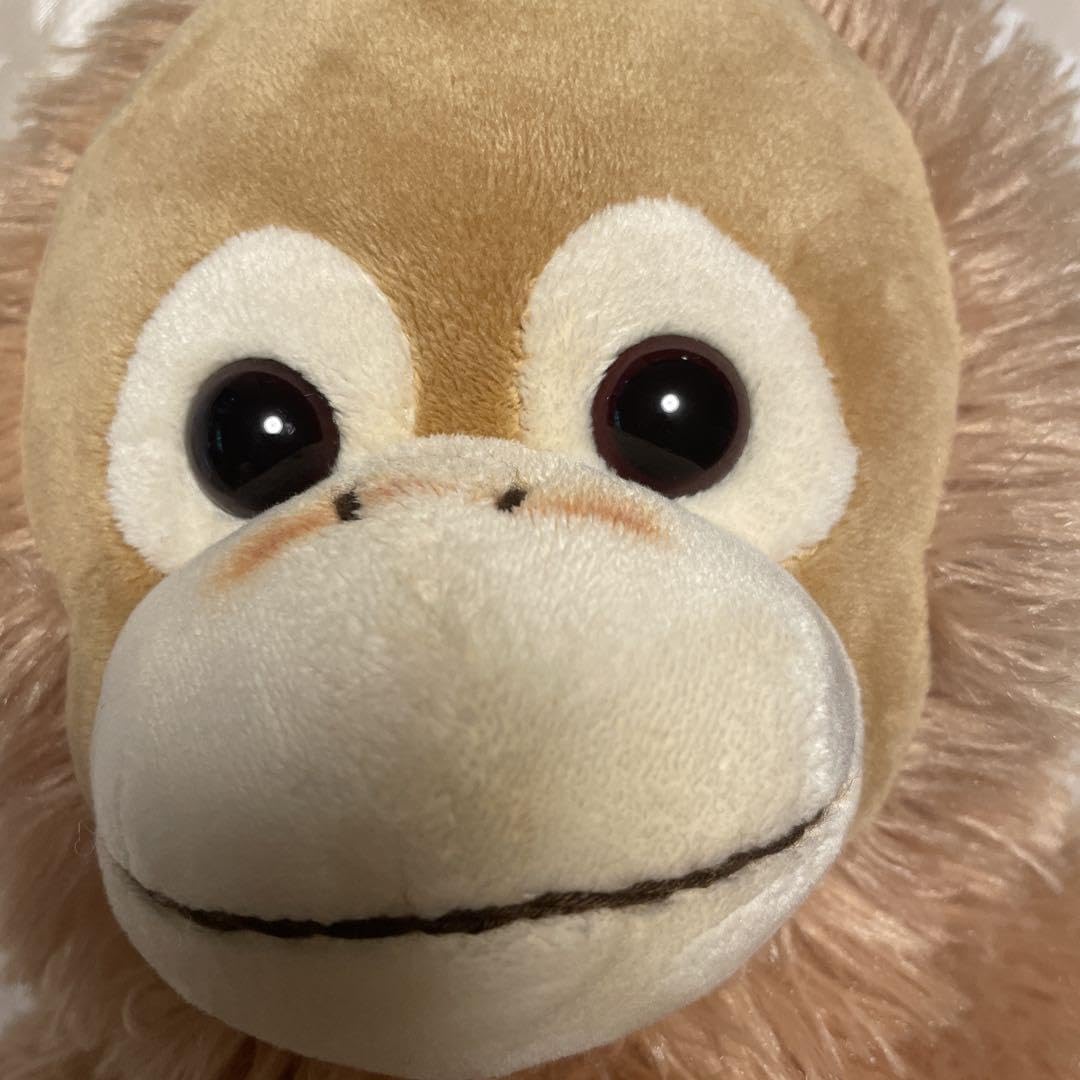 Amazon.co.jp: Baby Coco オランウータン ぬいぐるみ S ベビーココ