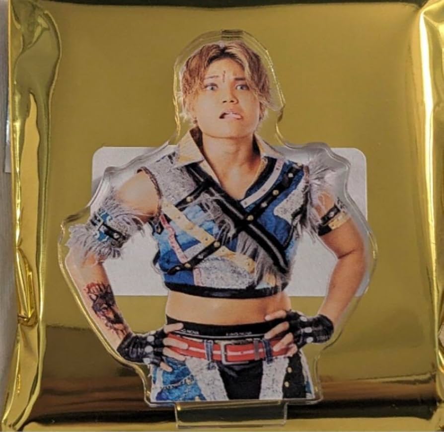 Amazon.co.jp: 女子プロレス マリーゴールド アクリルスタンド CHIAKI