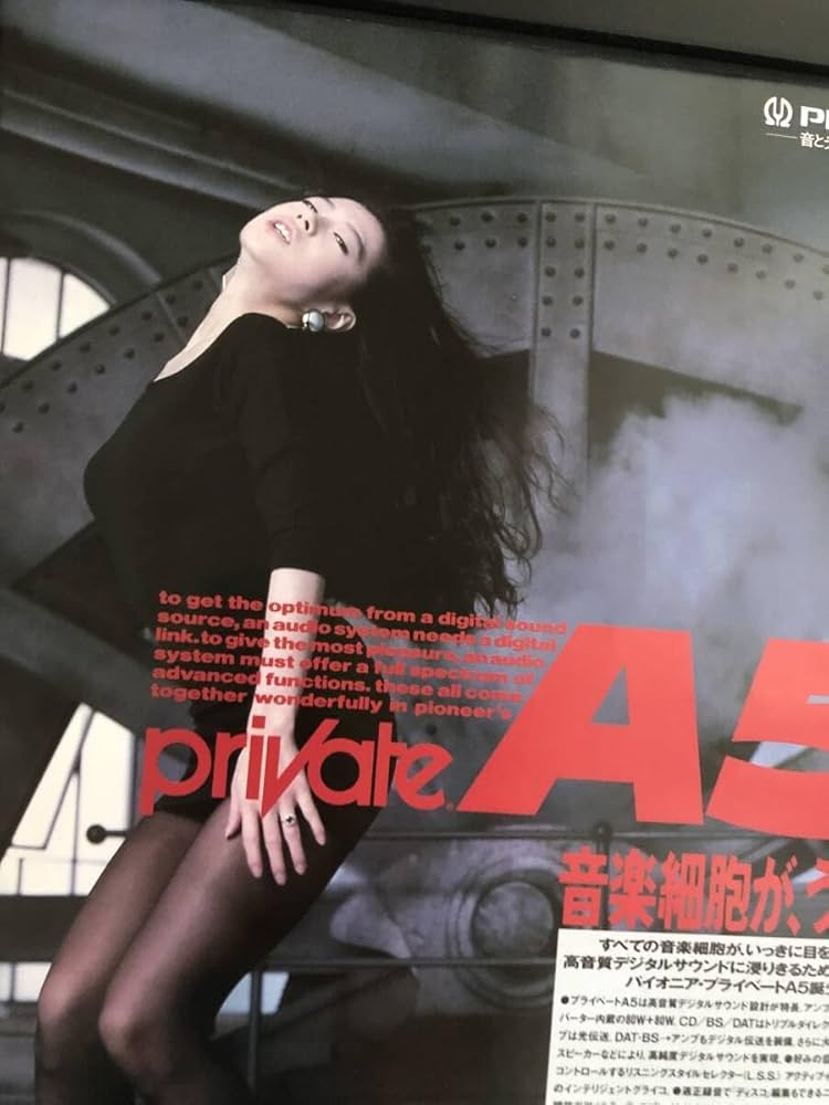 Amazon.co.jp: kj 額装品 中森明菜 パイオニア プライベート 広告 写真