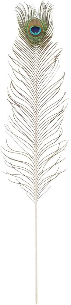 Amazon｜東京堂(Tokyodo) ウエディング 孔雀の羽根短 L75~87㎝ 10本入