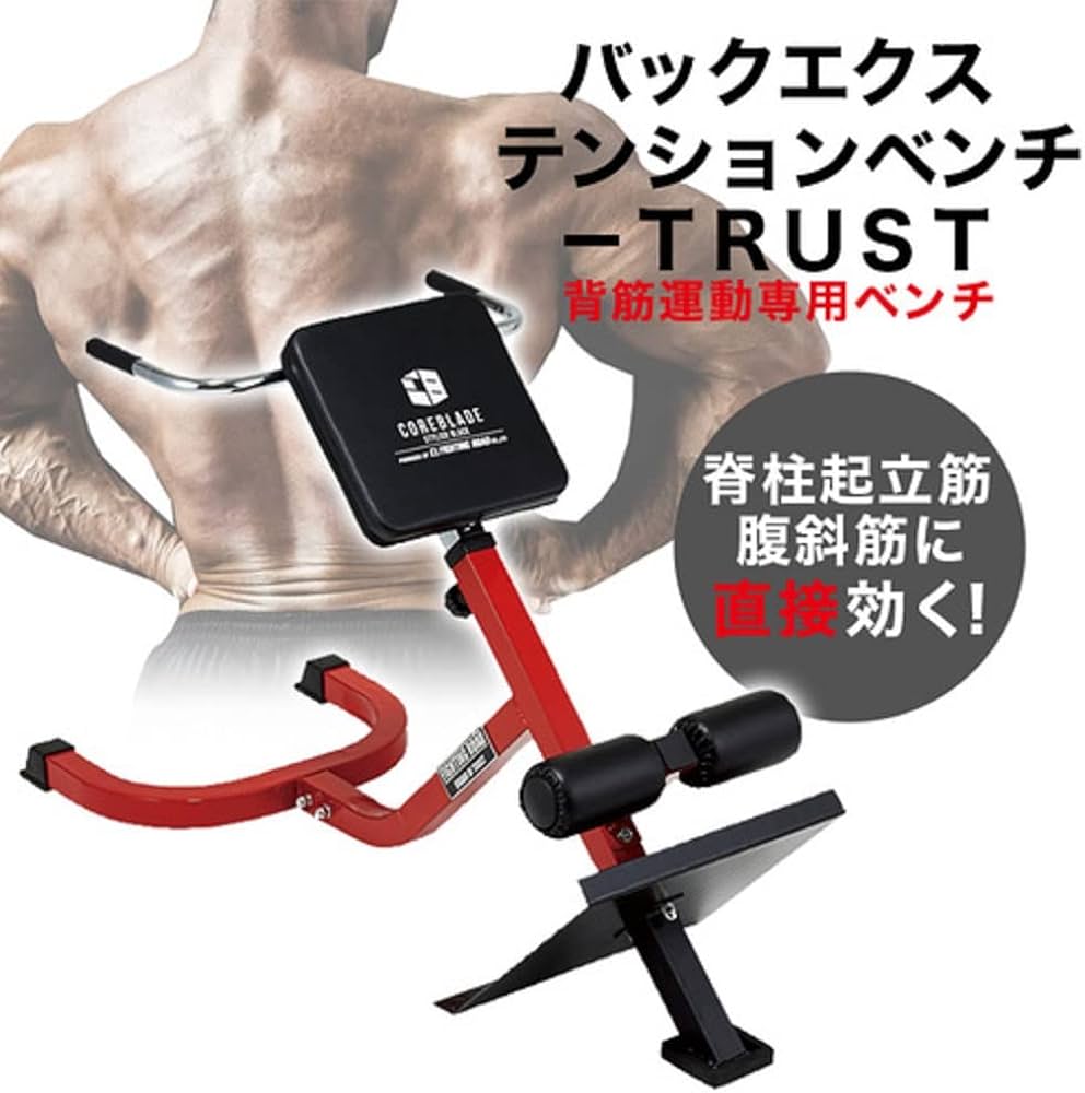 Amazon.co.jp: ファイティングロード バックエクステンションベンチ