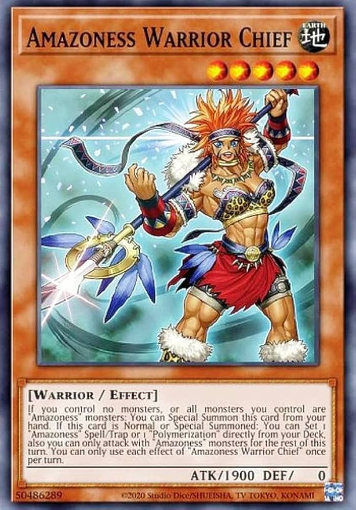 Amazon.co.jp: 遊戯王 DABL-EN095 アマゾネスの戦士長 Amazoness War