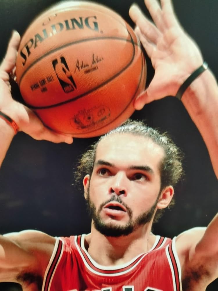 Amazon.co.jp: ジョアキム・ノア直筆サイン入り超 大型写真Joakim Noah