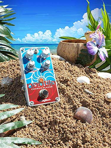 DigiTech Nautila Chorus/Flange Guitar Effects Pedal : Amazon.in