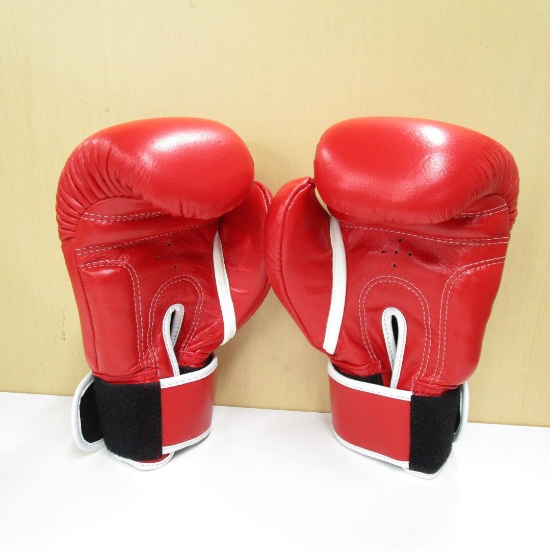 Amazon.co.jp: F.R.JAPAN ボクシンググローブ 10oz レッド : スポーツ
