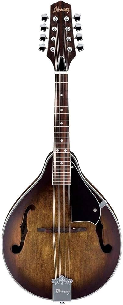 Amazon.com: Ibanez M510OVS Acoustic Mandolin in Vintage Sunburst