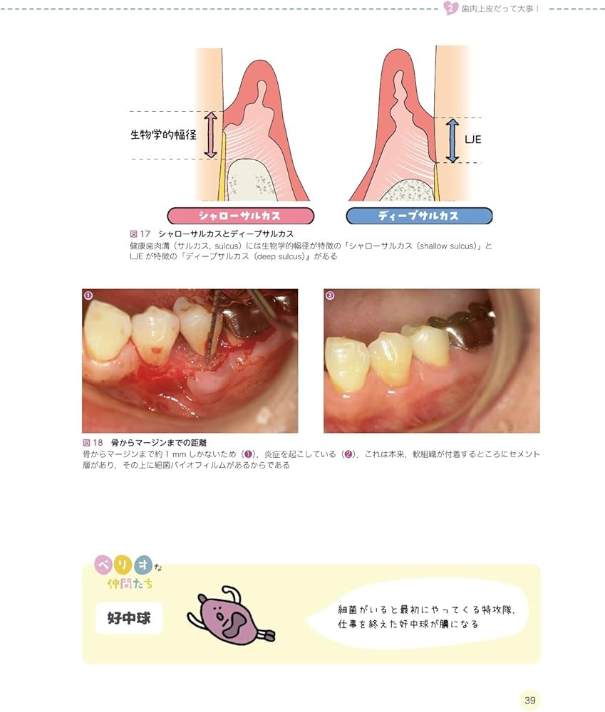 Dr.Hiroのペリオの愛し方 | 山本 浩正 |本 | 通販 | Amazon