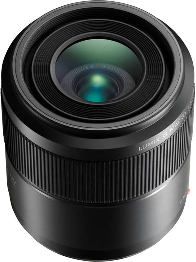 Amazon.com : Panasonic LUMIX G MACRO LENS, 30MM, F2.8 ASPH