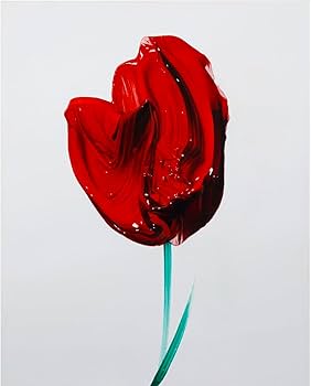 Amazon.co.jp: 武田鉄平『FLOWERS』 : 武田鉄平: 本