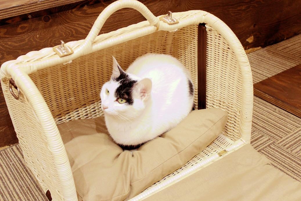 Amazon.co.jp: シンシアジャパン ラタンキャリーマイン ナチュラル M