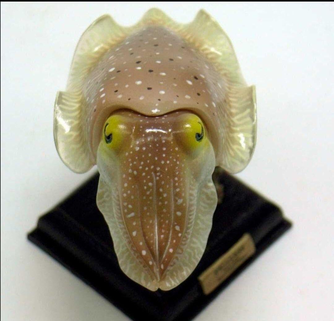 Amazon.co.jp: ネイチャーテクニカラー 立体コレクション3 初版