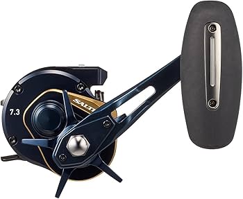 Amazon | ダイワ(DAIWA) ジギングベイトリール 25SALTIGA(ソルティガ