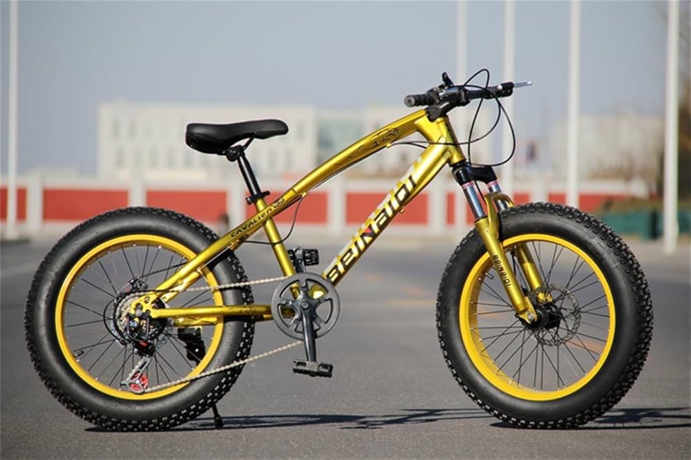 Amazon | Deerou スノーバイク ファットバイク 20イン 極太タイヤ