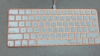 Amazon.com: Apple Magic Keyboard with Touch ID for Mac Models with