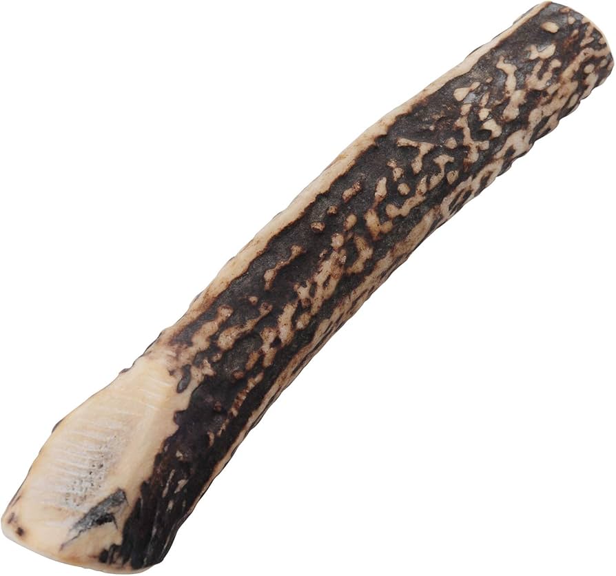 Amazon.co.jp: モノライフ 鹿の角 犬 噛むおもちゃ 無添加 おやつ 噛む