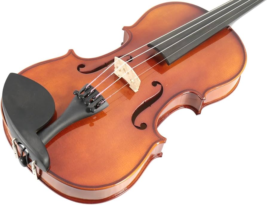 Amazon | Carlo giordano/VS-1 バイオリンセット 4/4 Violin Set