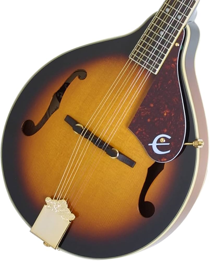 Amazon | EPIPHONE/MM-30S AS （Antique Sunburst） エピフォン