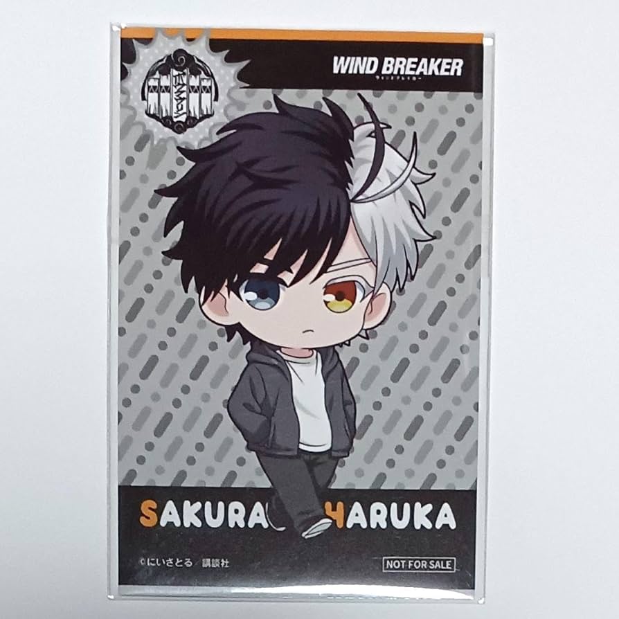 Amazon.co.jp: ウィンドブレイカー プリンセスカフェ 第1弾 特典カード