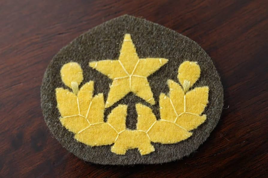 Amazon.co.jp: 帝国陸軍近衛師団将校准士官略帽星章 昭13制 濃緑将校雨