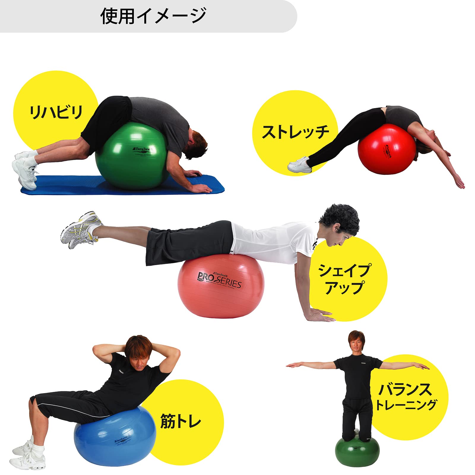 美坂式軽量振動運動法 バランスボール 鉄球 3㎏ ジャパンターナー 胴体