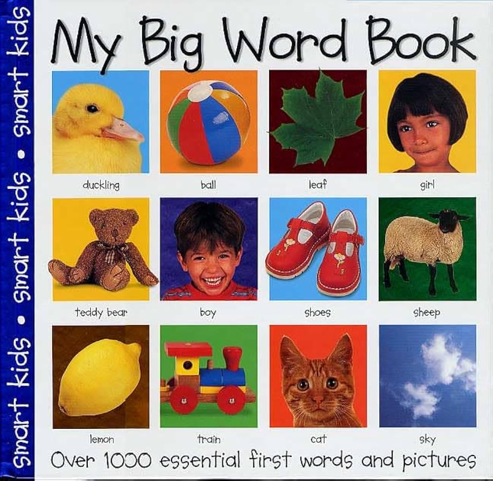 My Big Word Book: Priddy, Roger: 9780312490751: Amazon.com: Books