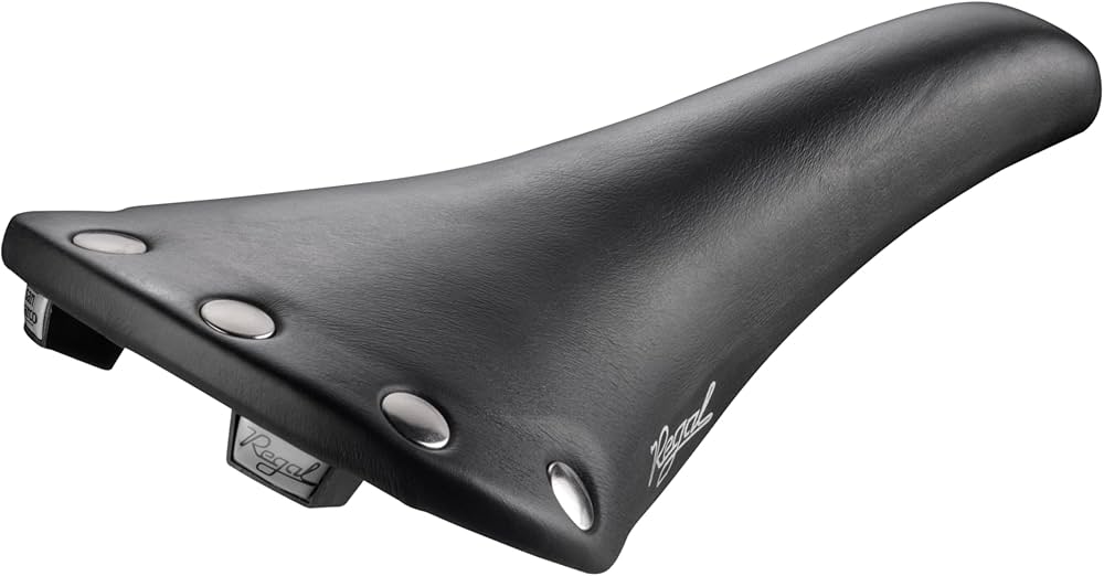 Amazon.com : Selle San Marco Carbon Steel Colour Unisex Adult