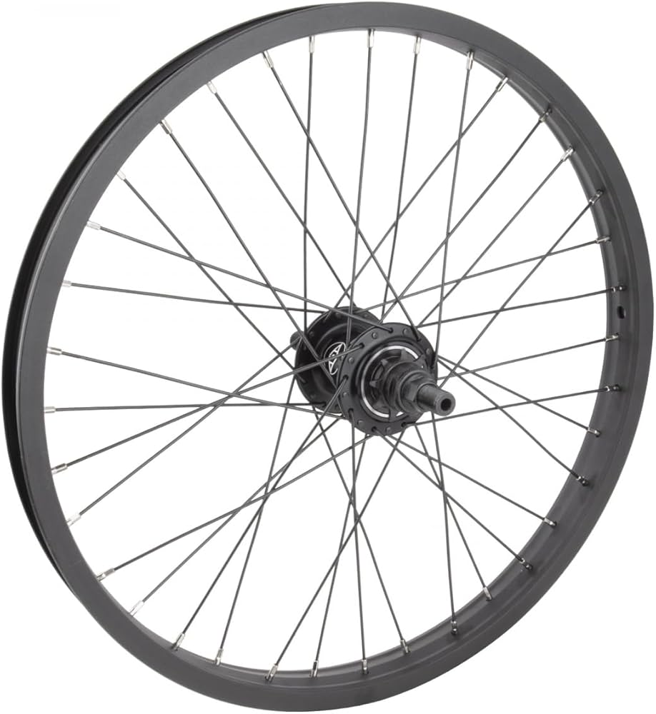 Amazon.com : Alienation 20in Alloy BMX 20in RR Black Sheep Rim