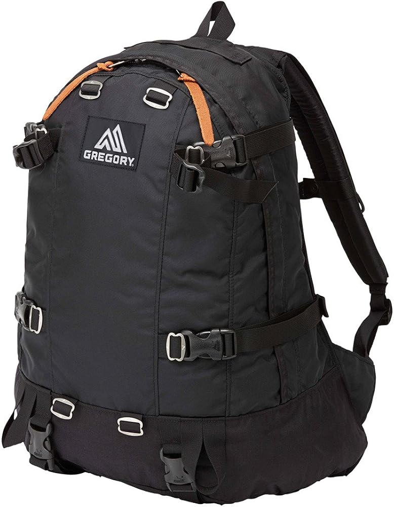 Amazon.com | Gregory (Day&Half) official Black Backpack Daypack