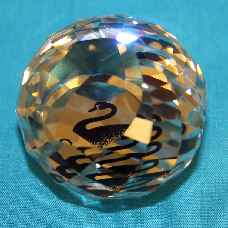 Amazon.co.jp: スワロフスキー 置物 黒白鳥 ペーパーウェイト SCMPWNR3