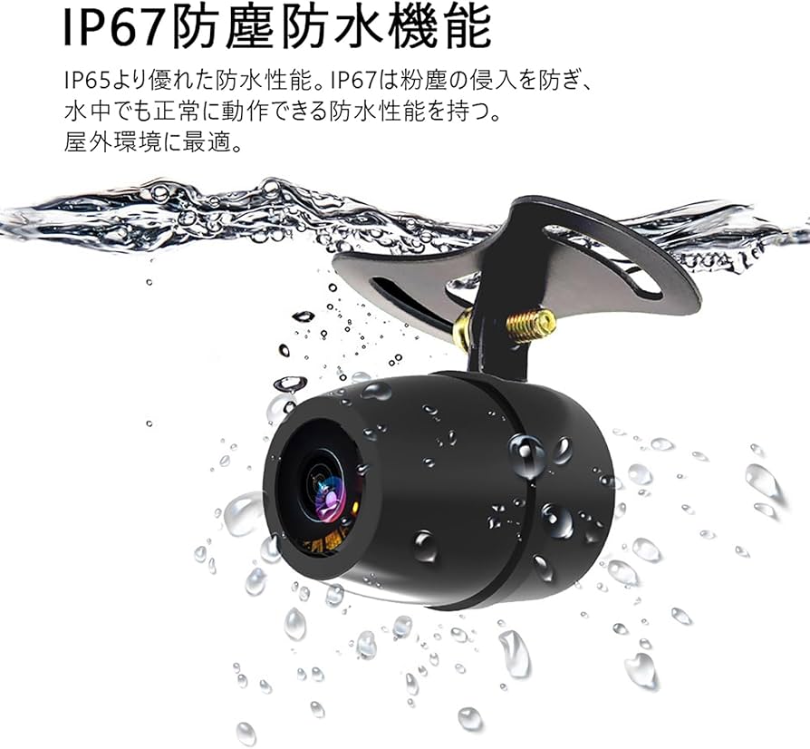 Amazon.co.jp: Bruce & Shark(ブルース・サメ) バイク ドライブ