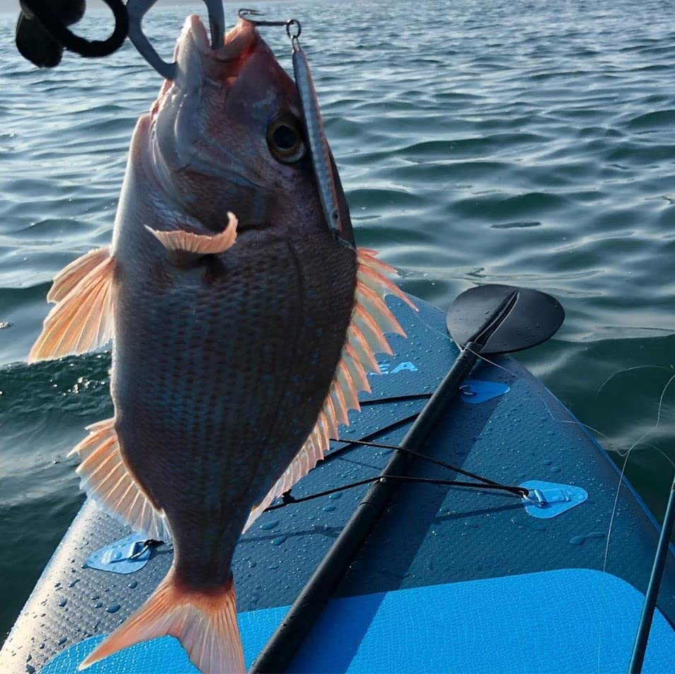 Amazon | WOWSEA Bionics B2 サップ インフレータブル スタンドアップ