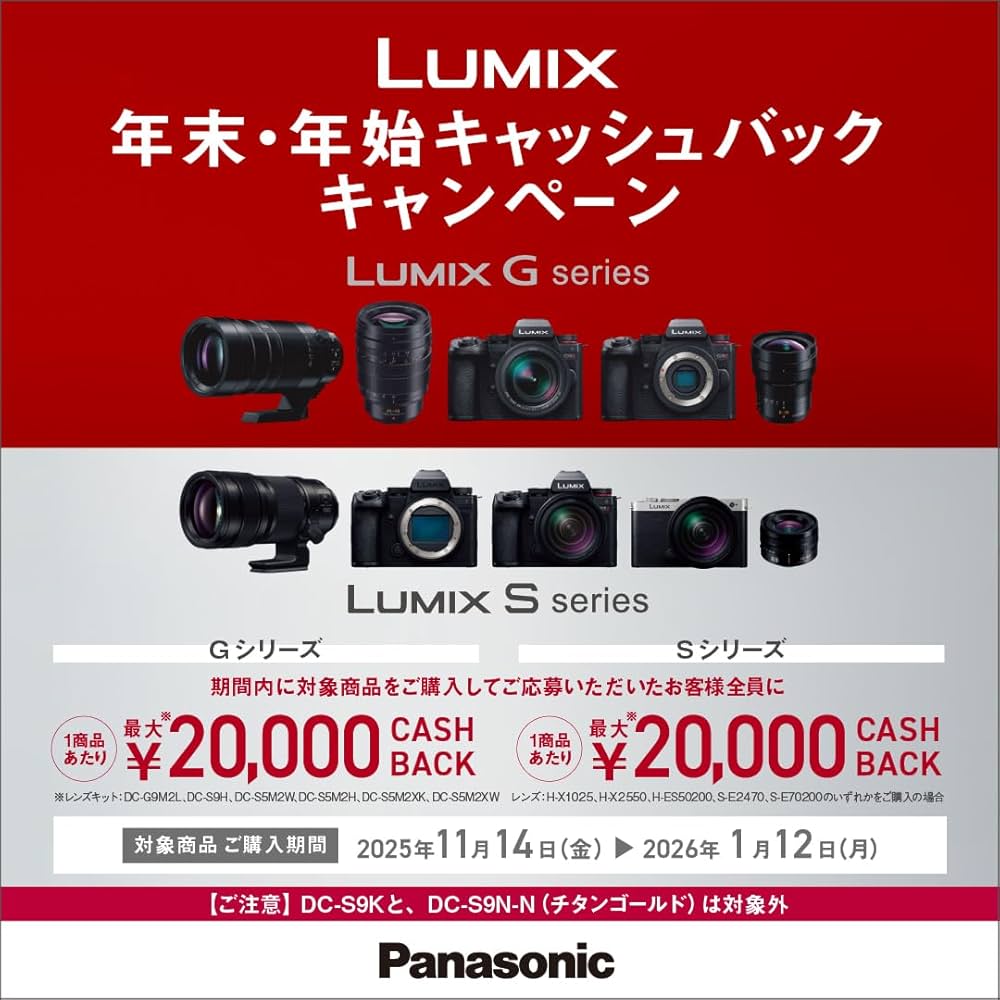 Amazon.co.jp: パナソニック(Panasonic) ミラーレス一眼カメラ