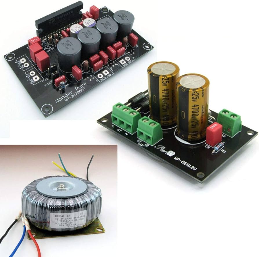 Amazon.co.jp: 2020デジタルアンプ基板完成品 電源基板＋トロイダル