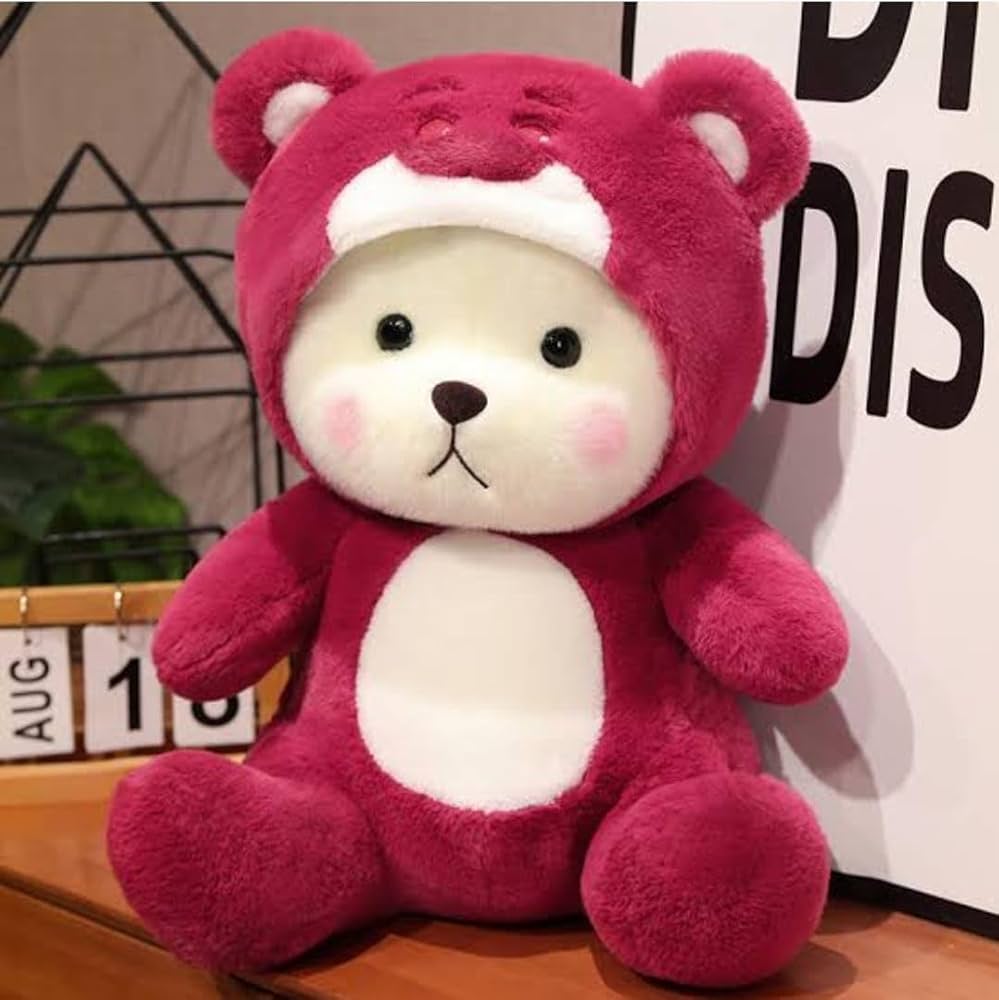 Buy Red Hoodie Bear, The Perfect Companion for All Your Cozy
