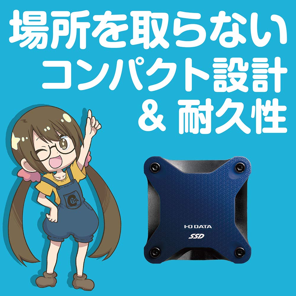 Amazon.co.jp: PS4対応 外付けSSD 960GB : Video Games