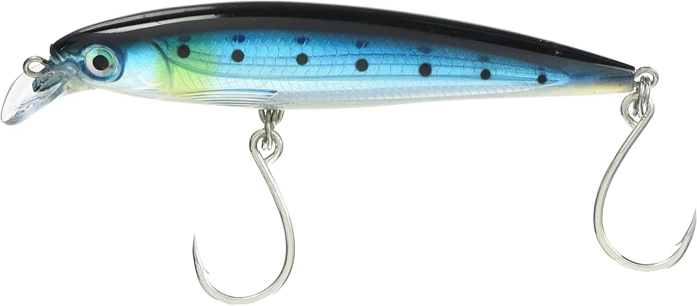 Amazon.co.jp: Rapala(ラパラ) ミノー Xラップ ロングキャスト 12cm