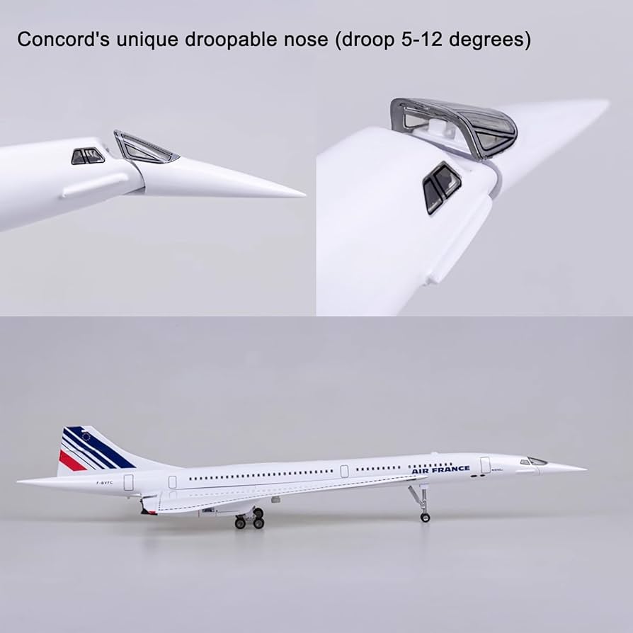 61hgNKuOJsL._AC_UF894,