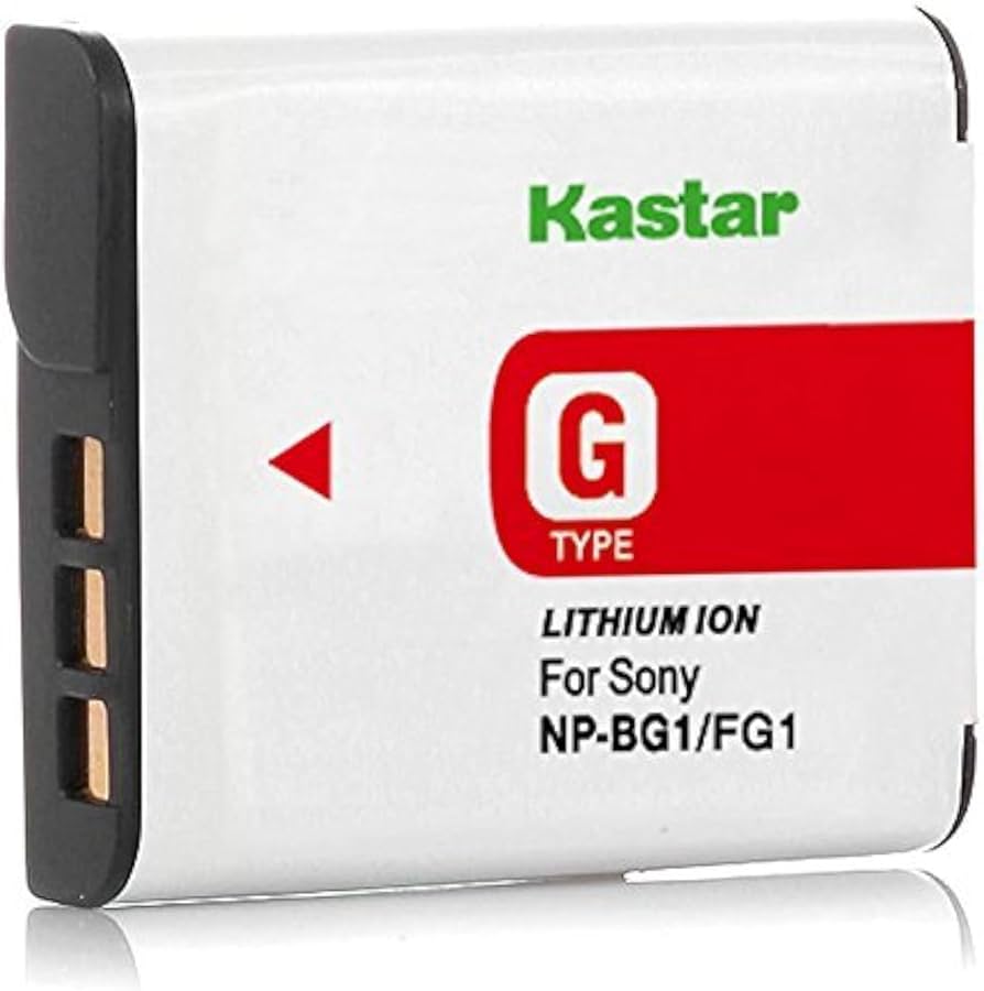 Amazon.com: Kastar NP-BG1 Battery Replacement for Sony DSC-H10 DSC