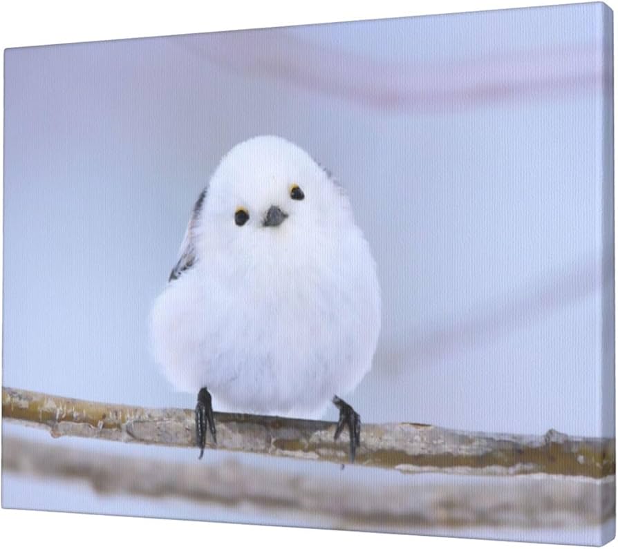 Amazon.co.jp: シマエナガ かわいい 鳥 アートポスター アートパネル