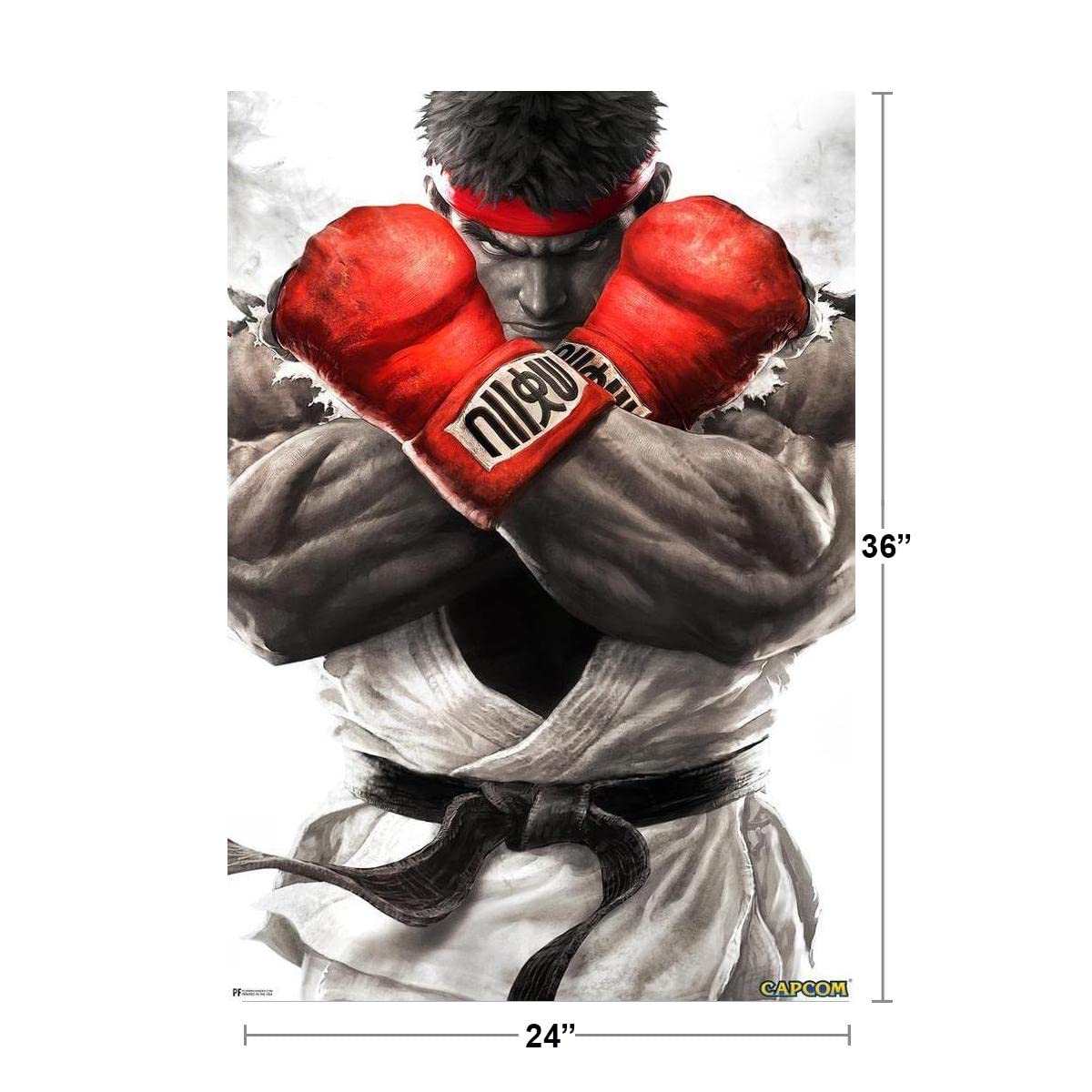 Amazon.co.jp: ストリートファイター リュウ クロスドアームズ ポーズ